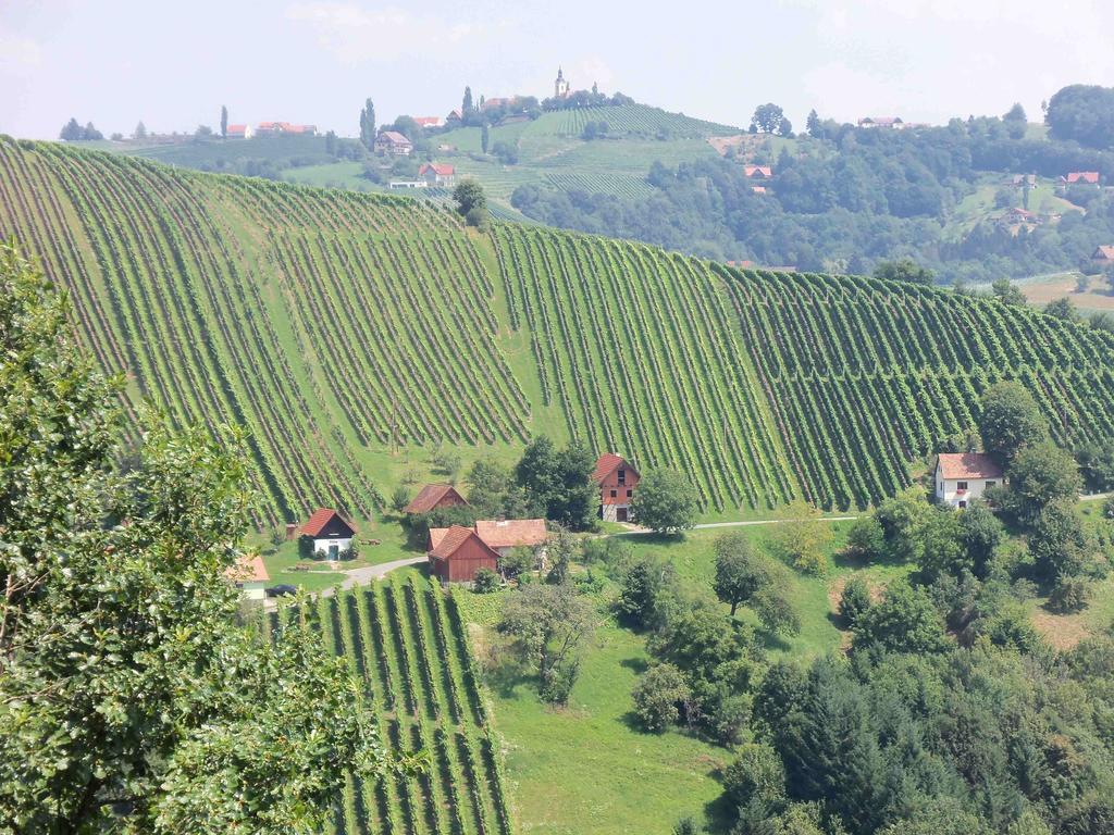 Obstbau Und Gaestezimmer Stani Kitzeck im Sausal Eksteriør bilde
